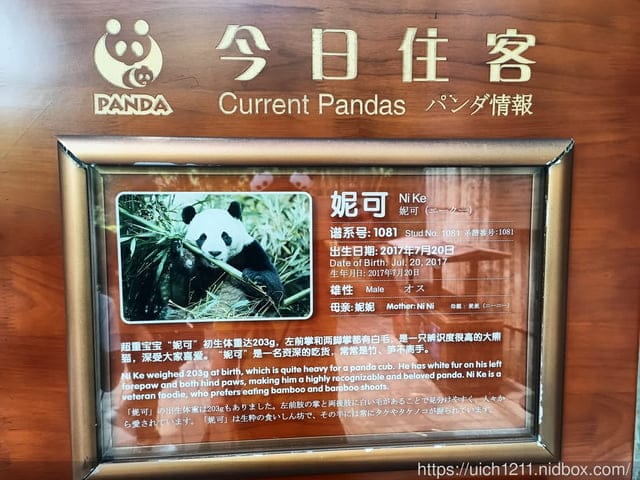 大陸成都之旅