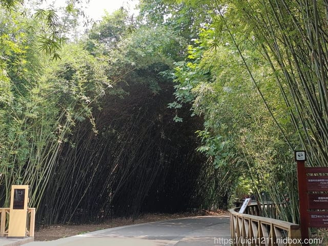 大陸成都之旅