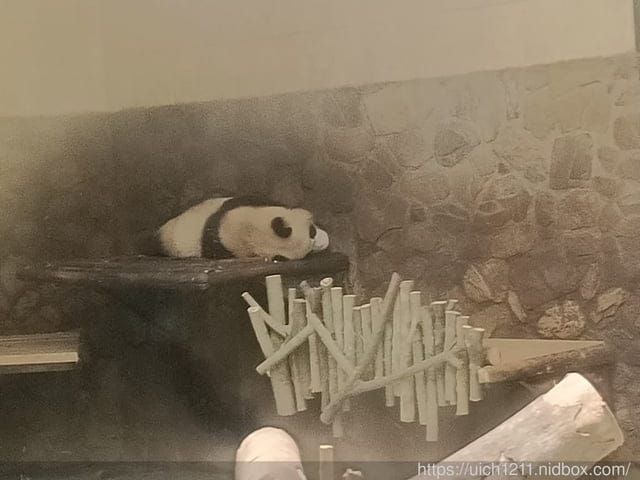 大陸成都之旅