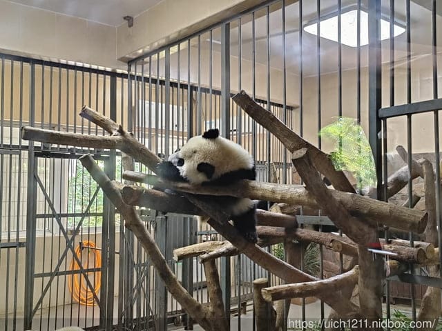大陸成都之旅