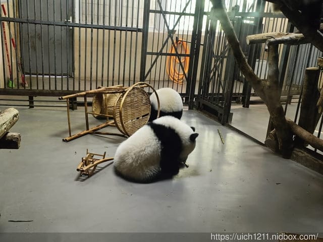 大陸成都之旅