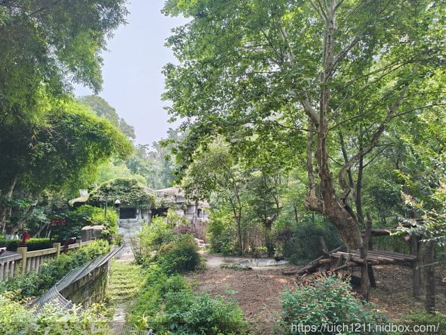 大陸成都之旅