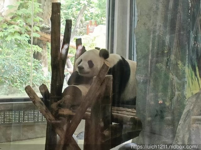 大陸成都之旅