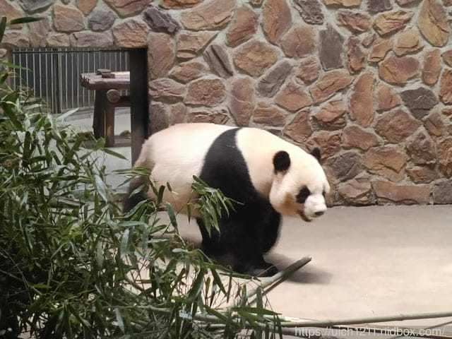 大陸成都之旅