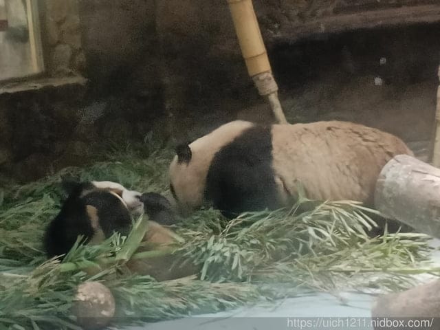 大陸成都之旅
