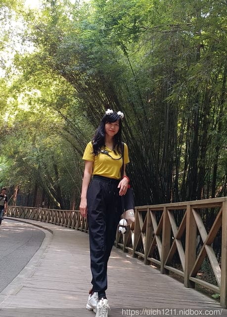 大陸成都之旅