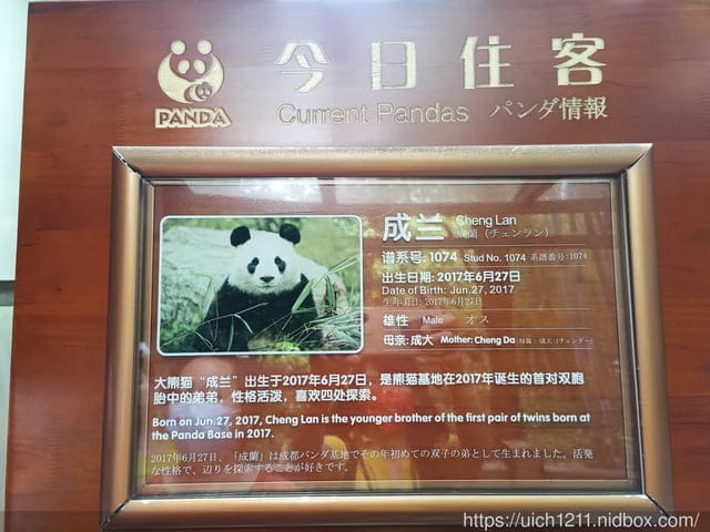 大陸成都之旅