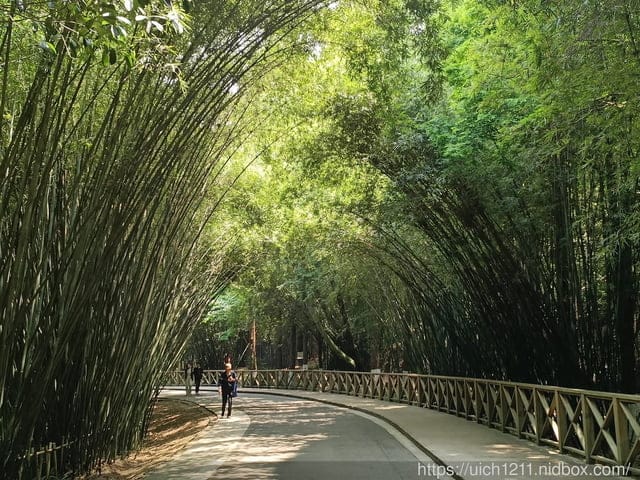 大陸成都之旅