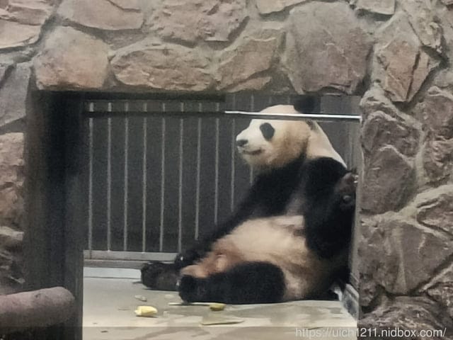 大陸成都之旅