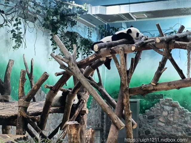 大陸成都之旅