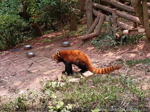 大陸成都之旅