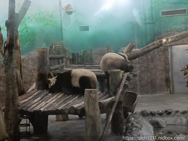 大陸成都之旅