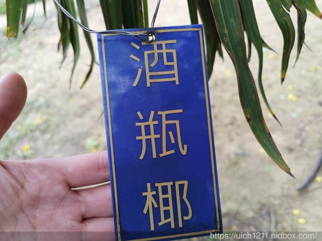台南嘉義之旅