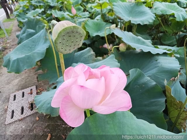 台南嘉義之旅