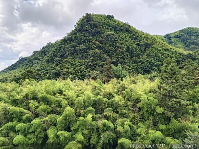 溪頭之旅