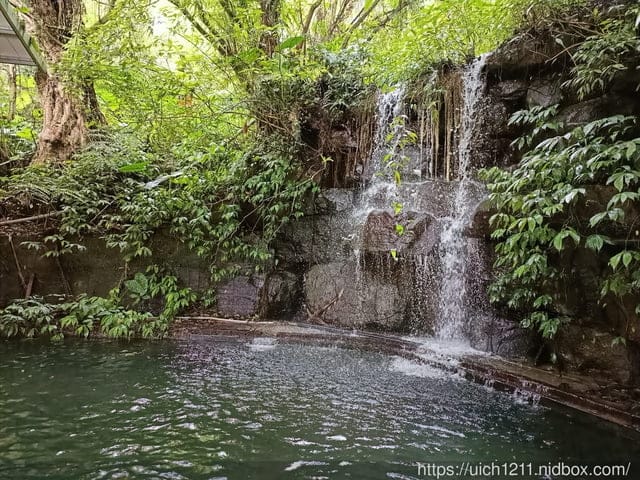 溪頭之旅