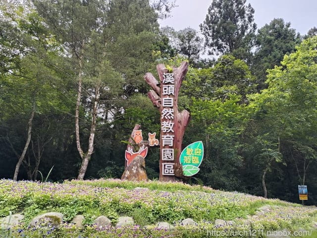 溪頭之旅
