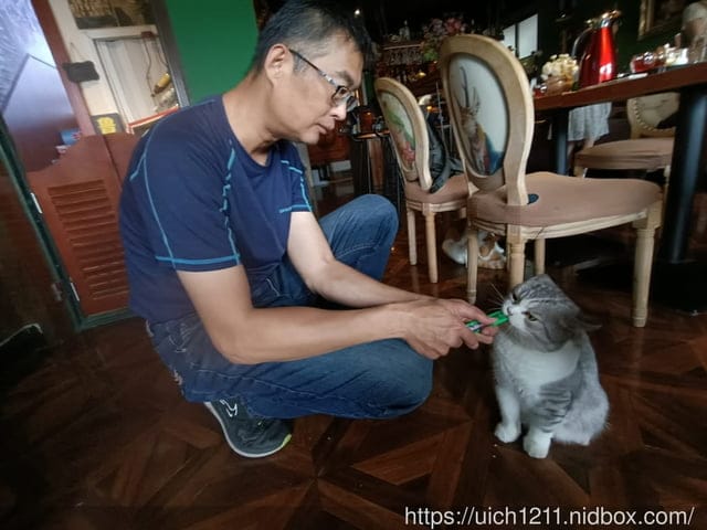 第二趟重慶