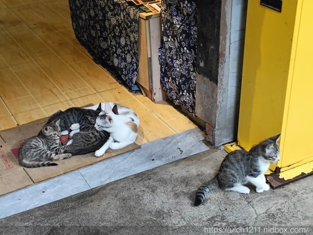 第二趟重慶