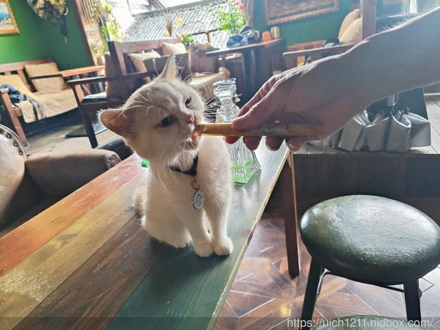 第二趟重慶