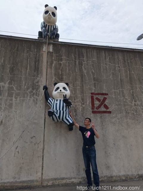 大陸合肥之旅 - 第27張圖 大陸合肥之旅