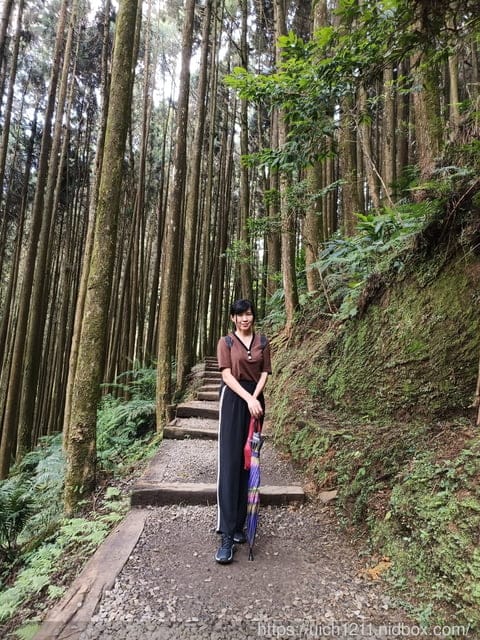 杉林溪二日遊 - 第10張圖 杉林溪二日遊