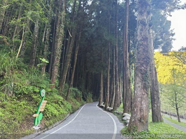 杉林溪二日遊 - 第51張圖 杉林溪二日遊