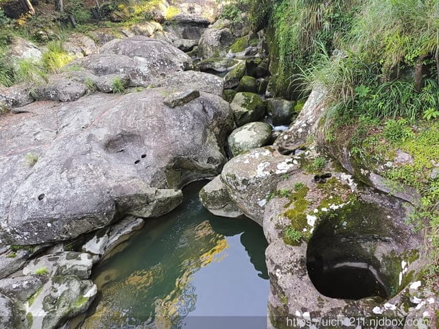 杉林溪二日遊 - 第56張圖 杉林溪二日遊