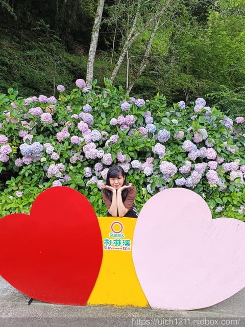 杉林溪二日遊 - 第22張圖 杉林溪二日遊