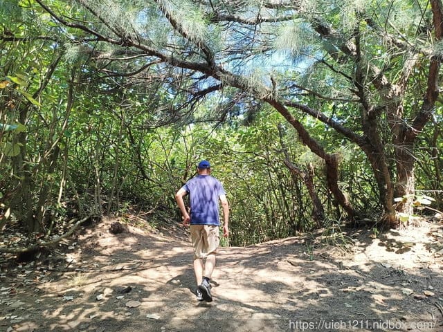 苗南海地景藝術節 - 第16張圖 苗南海地景藝術節