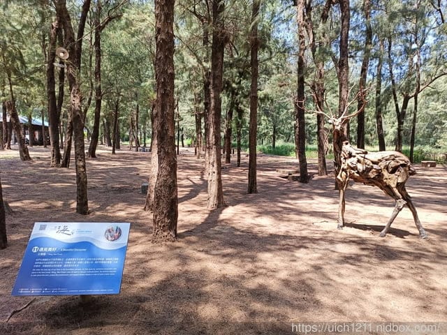 苗南海地景藝術節 - 第35張圖 苗南海地景藝術節