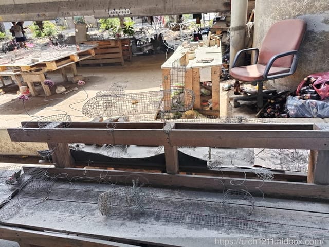 中部之旅 - 第23張圖 中部之旅