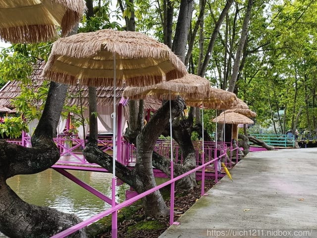 雲林一日遊
