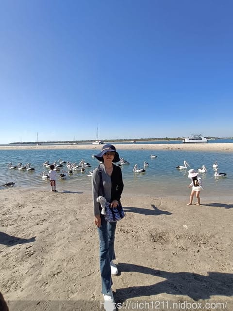 澳洲黃金海岸 - 第60張圖 澳洲黃金海岸