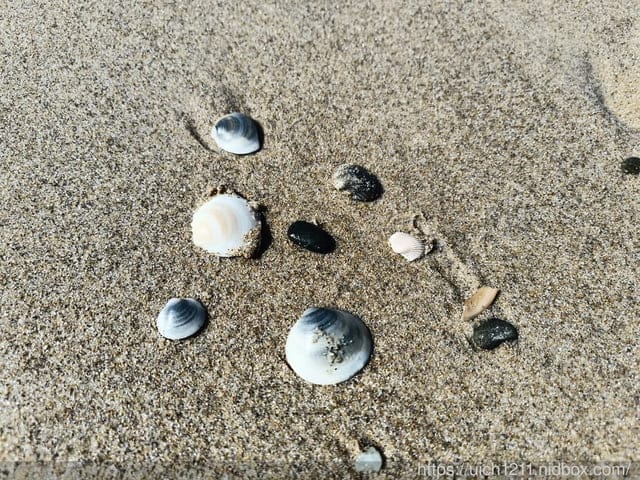 澳洲黃金海岸 - 第49張圖 澳洲黃金海岸