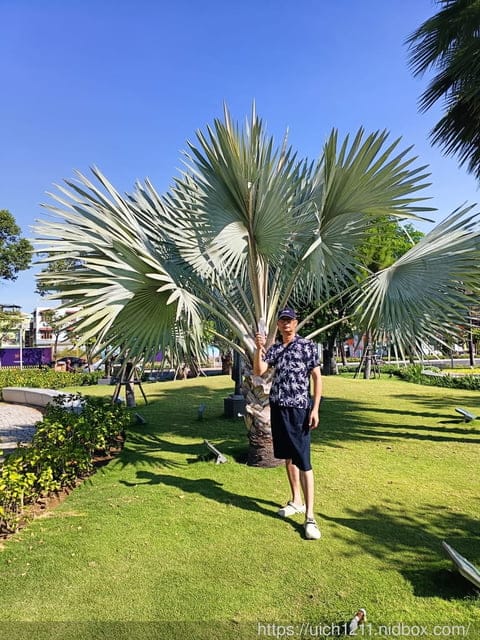 越南之旅3 - 第9張圖 越南之旅3