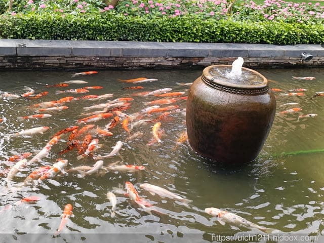 越南之旅完結篇