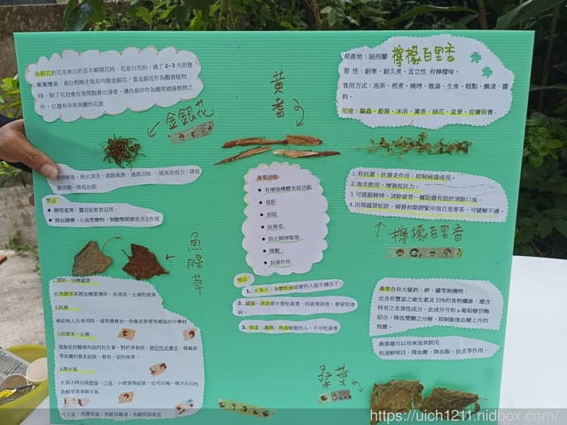 漫遊寶山輕旅行 - 第13張圖 漫遊寶山輕旅行
