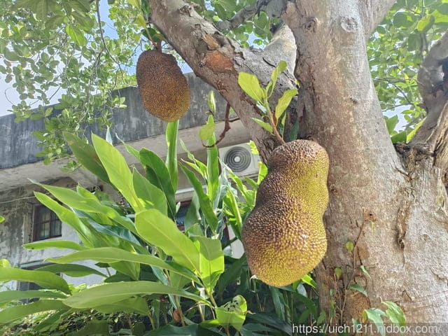 漫遊寶山輕旅行 - 第9張圖 漫遊寶山輕旅行
