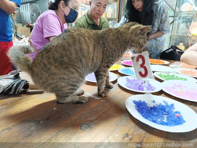 漫遊寶山輕旅行 - 第47張圖 漫遊寶山輕旅行