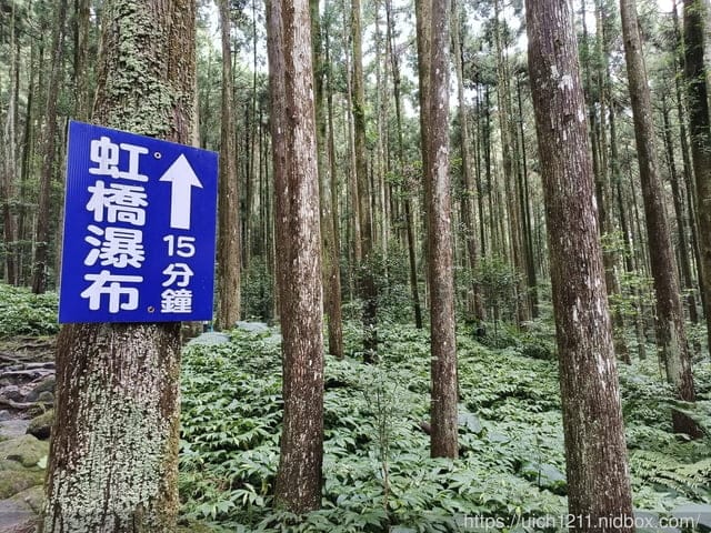 新竹之旅 - 第24張圖 新竹之旅