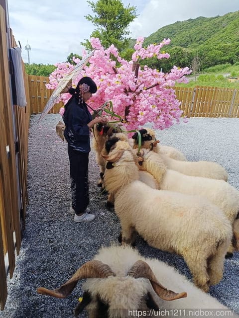 月崖灣親子農場及太魯閣晶英酒店 - 第8張圖 月崖灣親子農場及太魯閣晶英酒店