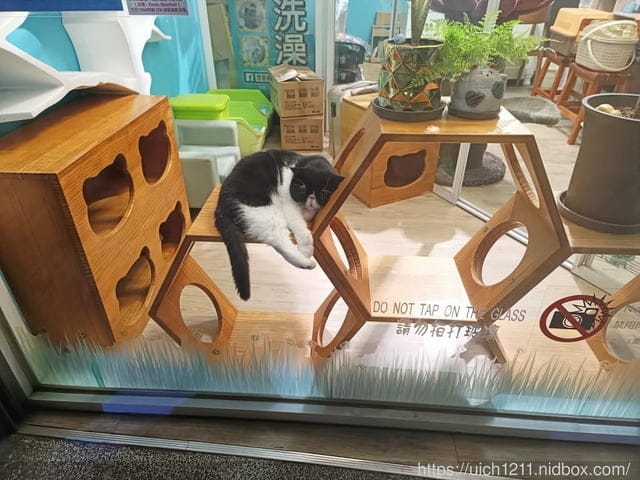 台南吃美食 - 第18張圖 台南吃美食