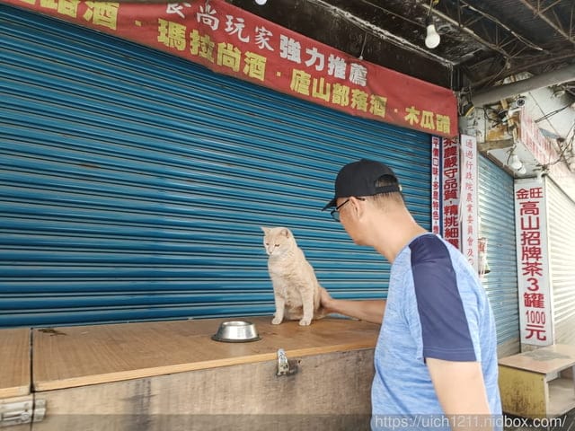 埔里能高瀑布 - 第15張圖 埔里能高瀑布