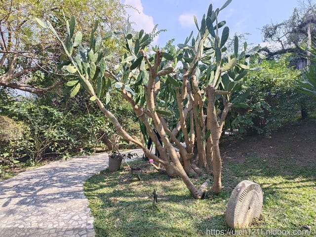 墾丁遊 - 第24張圖 墾丁遊