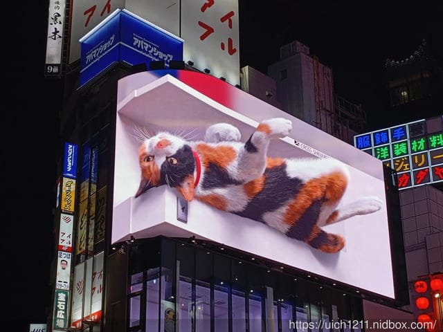 日本新宿之旅 - 第25張圖 日本新宿之旅
