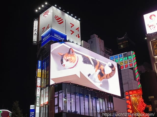 日本新宿之旅 - 第24張圖 日本新宿之旅
