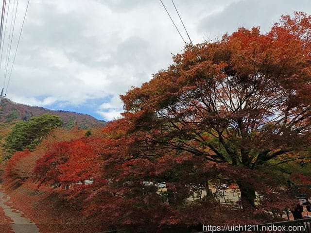 日本河口湖