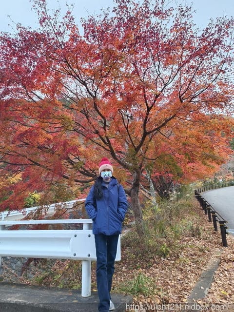 日本河口湖
