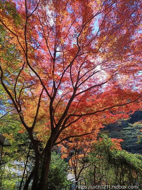 日本河口湖